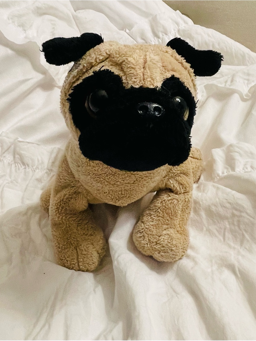 Ganz Webkinz Pug Plush Dog Stuffed Animal HM105